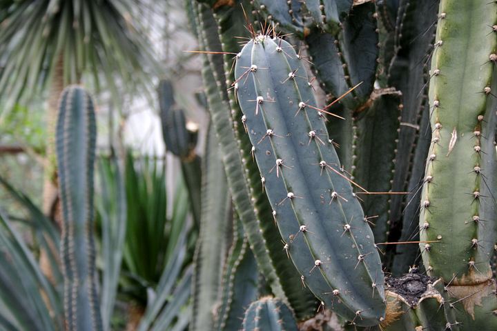 spis.php?category_id=350