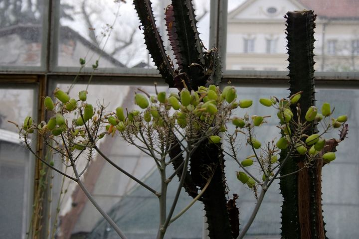 spis.php?category_id=350