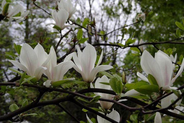 spis.php?category_id=350