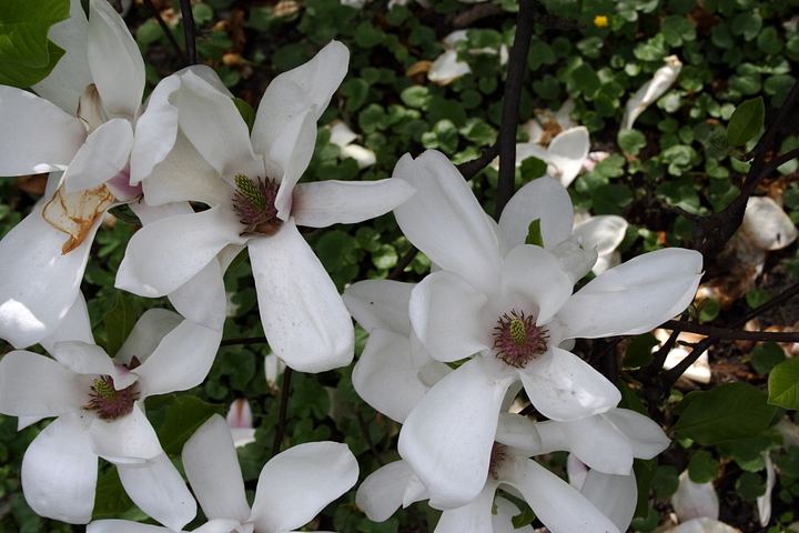 spis.php?category_id=350