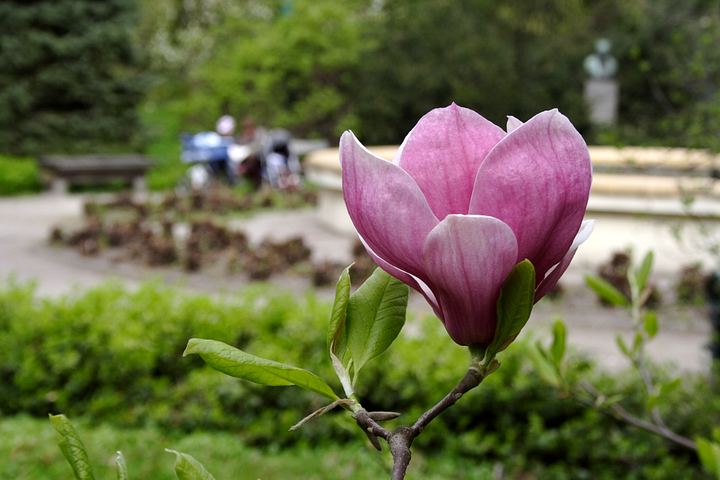 spis.php?category_id=350