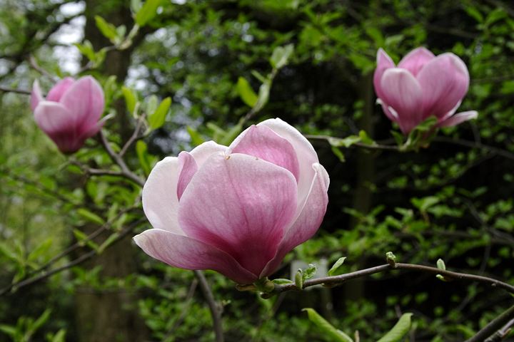 spis.php?category_id=350