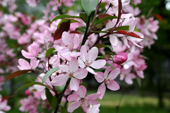 spis.php?category_id=350