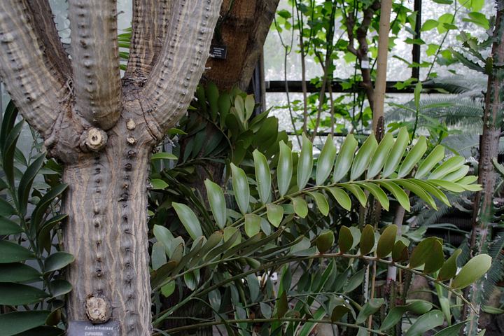 spis.php?category_id=350