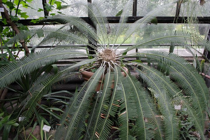 spis.php?category_id=350