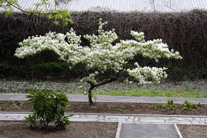 spis.php?category_id=350