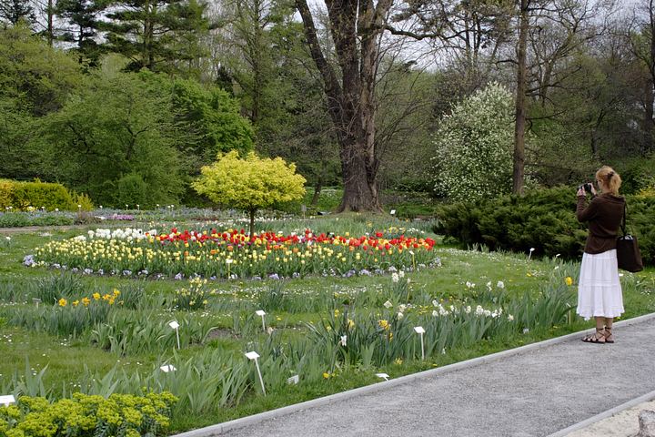 spis.php?category_id=350