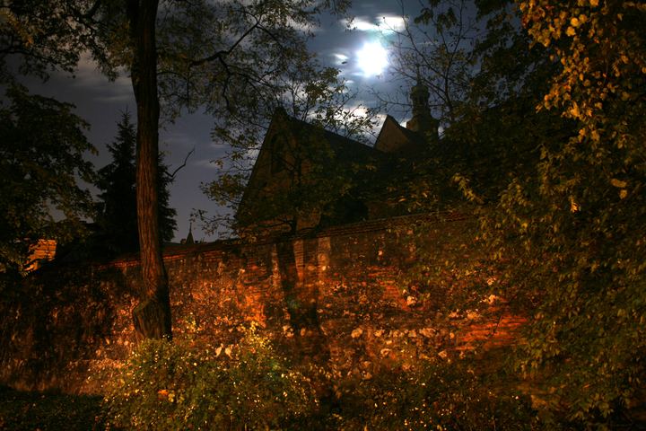 spis.php?category_id=352