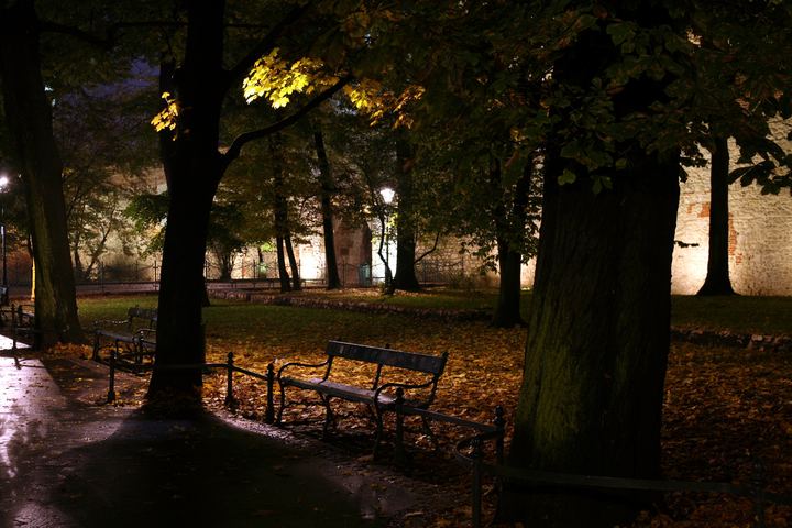 spis.php?category_id=352