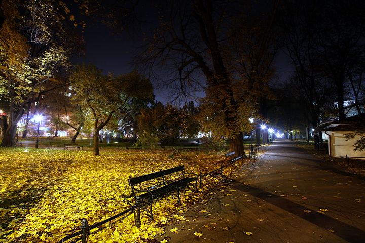 spis.php?category_id=352