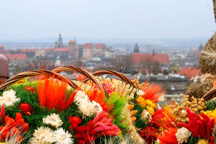 spis.php?category_id=353