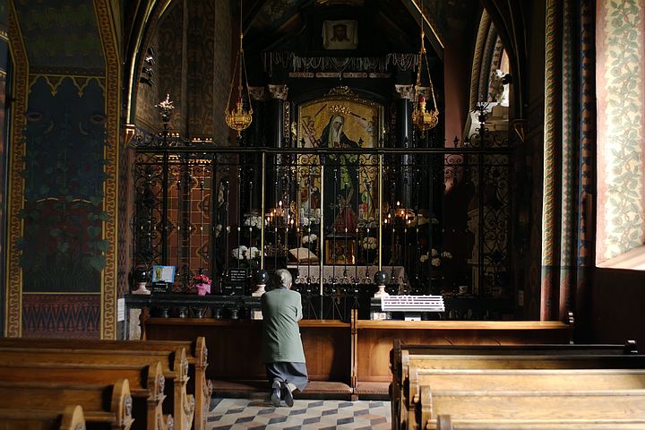 spis.php?category_id=364