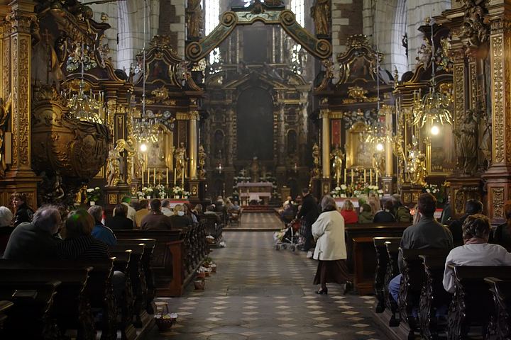 spis.php?category_id=364