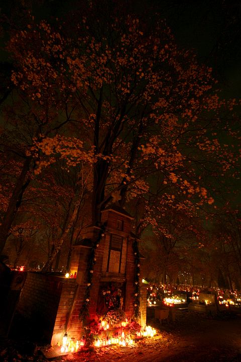 spis.php?category_id=365