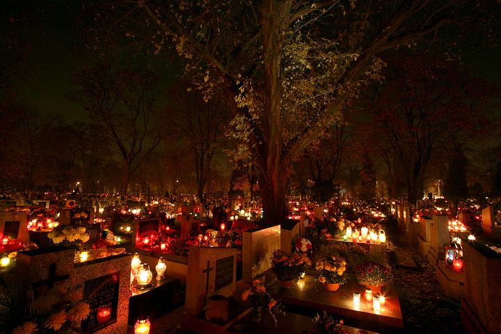 spis.php?category_id=365