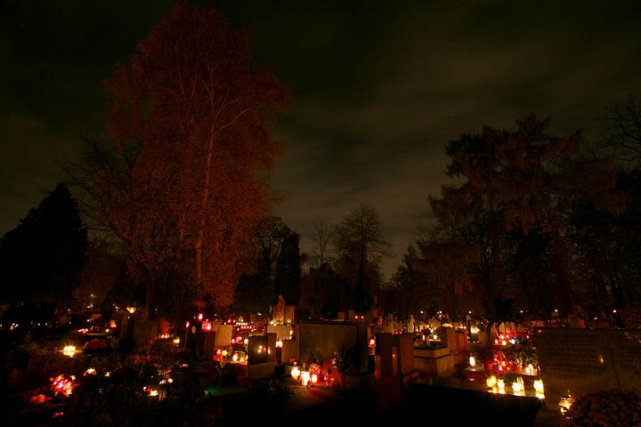 spis.php?category_id=365