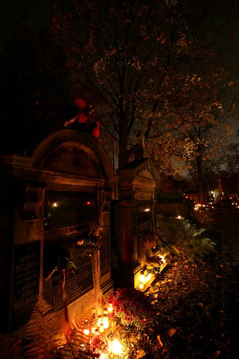 spis.php?category_id=365