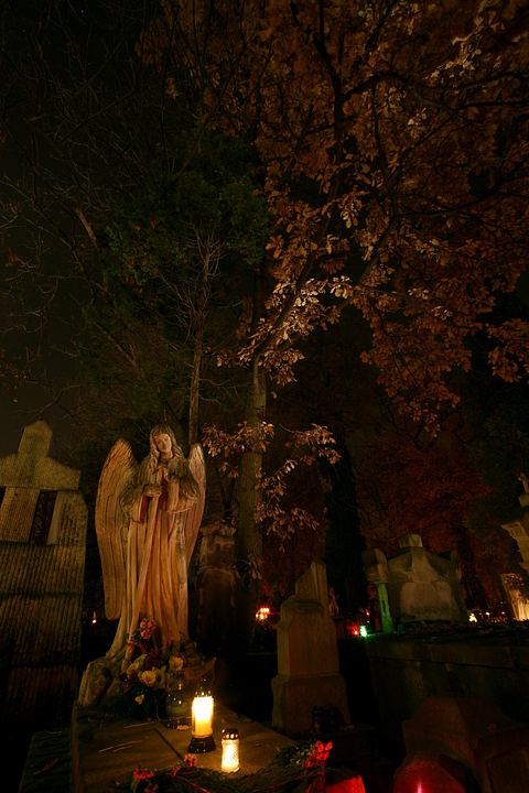 spis.php?category_id=365