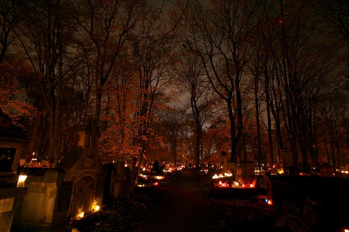 spis.php?category_id=365