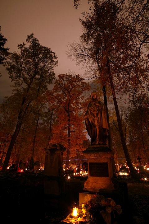 spis.php?category_id=365