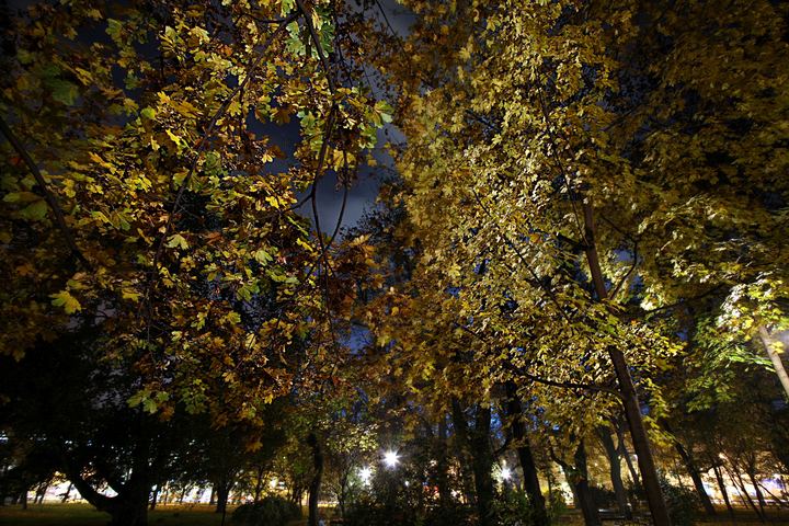 spis.php?category_id=340