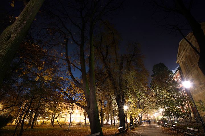 spis.php?category_id=340