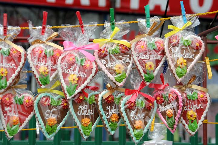 spis.php?category_id=341