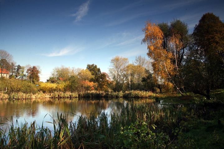 spis.php?category_id=343