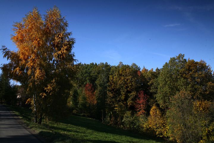 spis.php?category_id=343