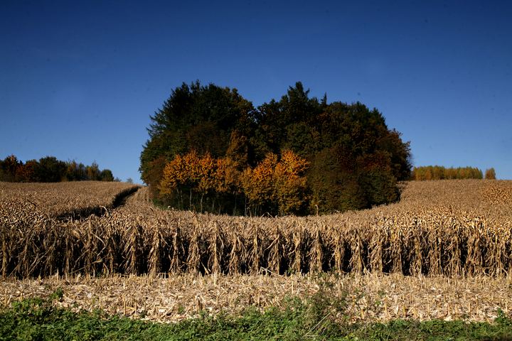 spis.php?category_id=343