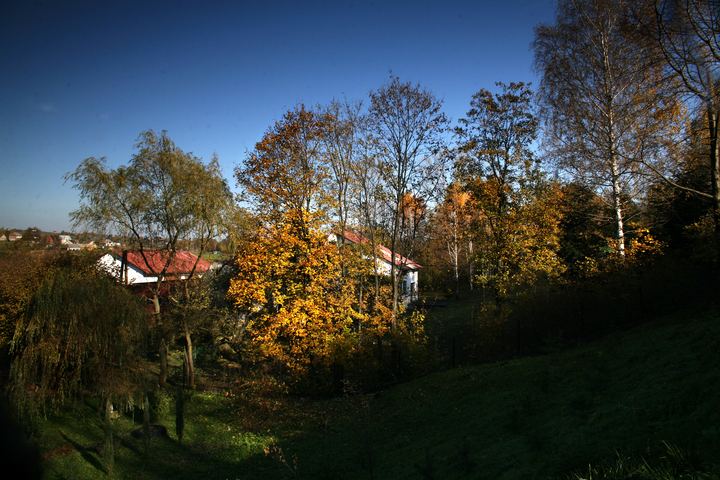 spis.php?category_id=343