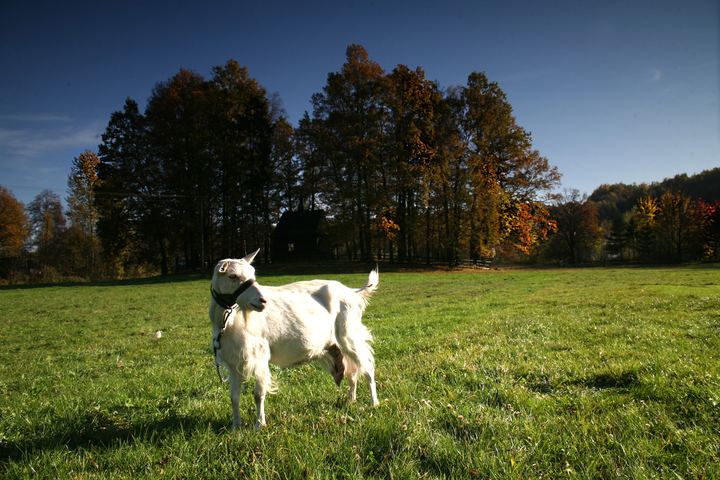 spis.php?category_id=343