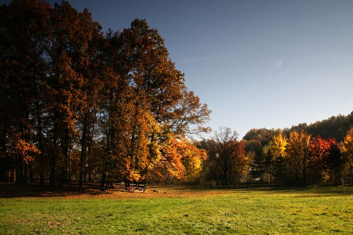 spis.php?category_id=343