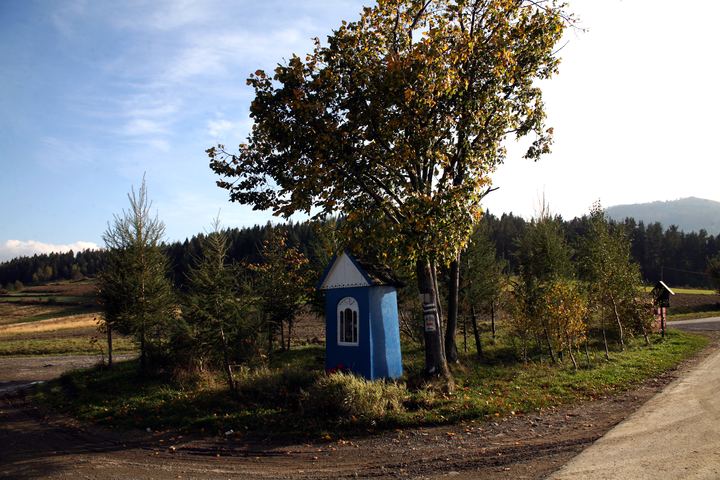 spis.php?category_id=343