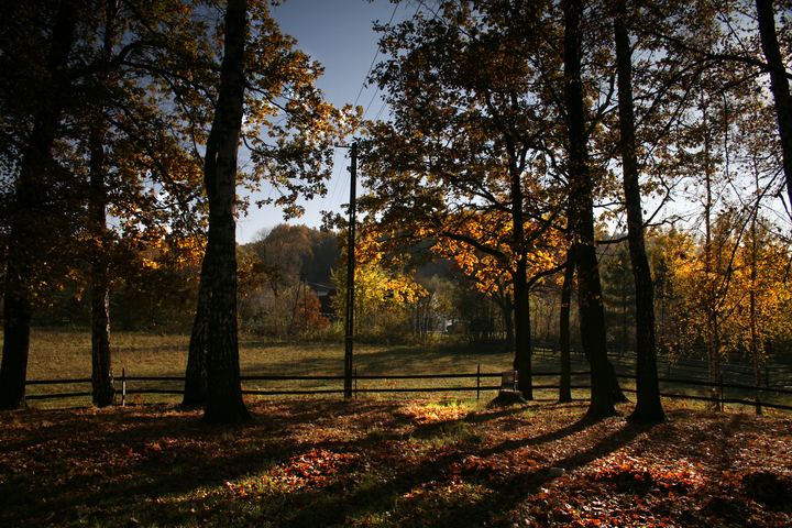 spis.php?category_id=343