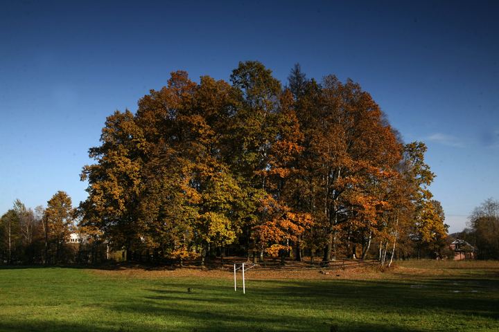 spis.php?category_id=343