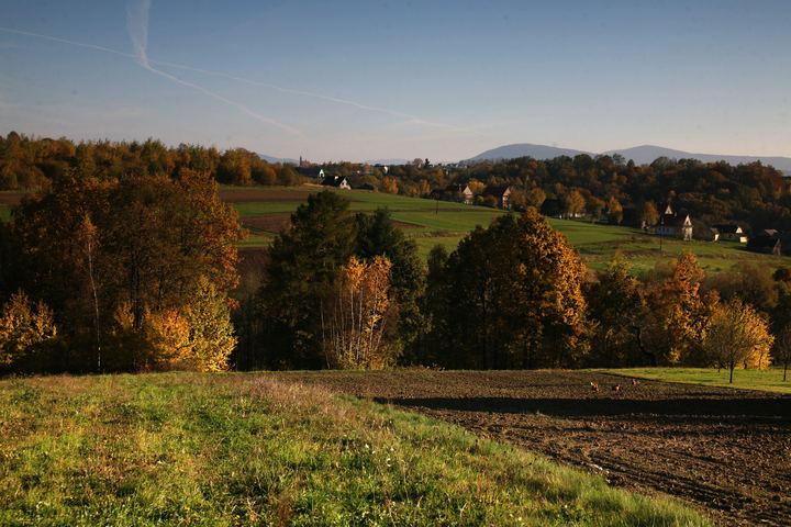 spis.php?category_id=343