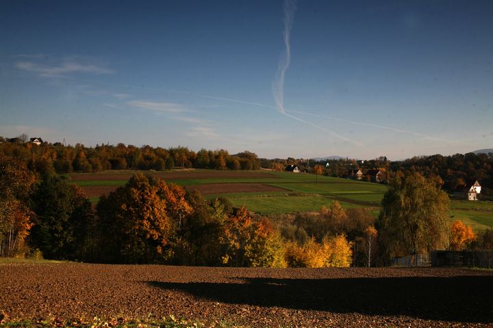 spis.php?category_id=343