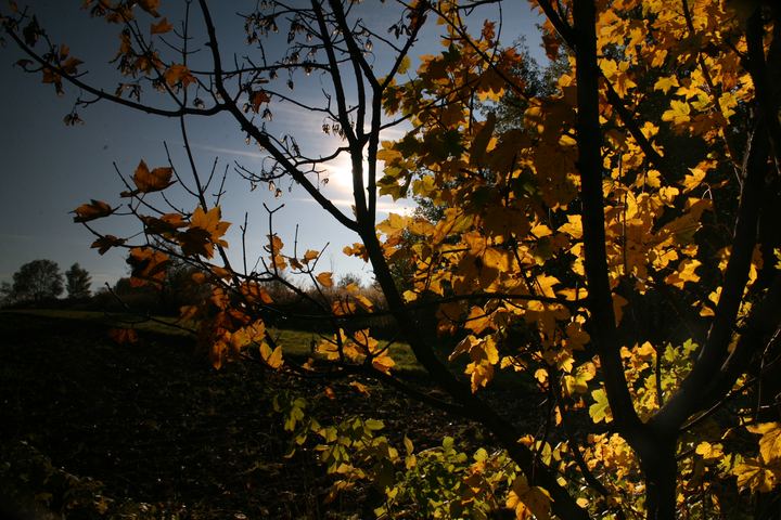 spis.php?category_id=343