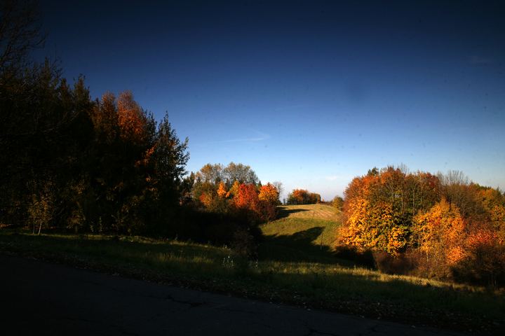 spis.php?category_id=343