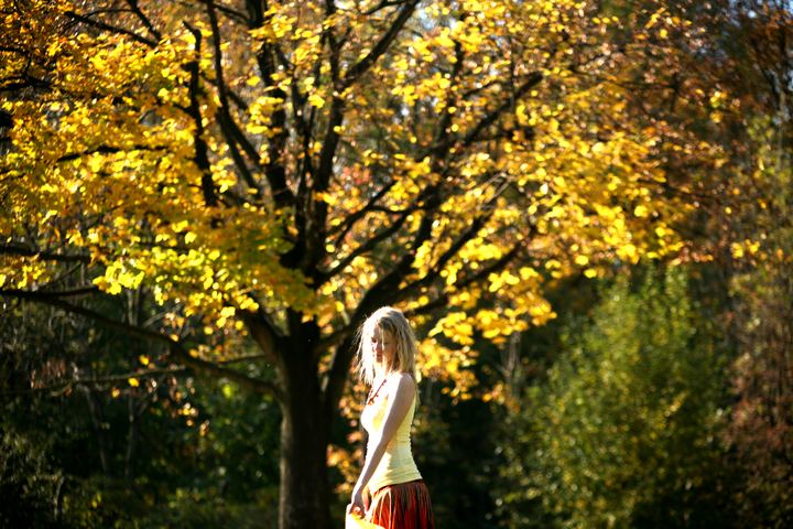 spis.php?category_id=343