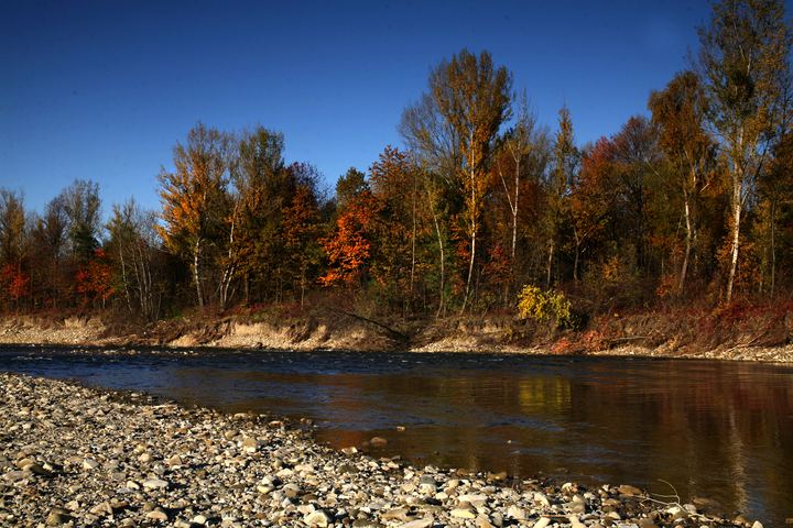 spis.php?category_id=343