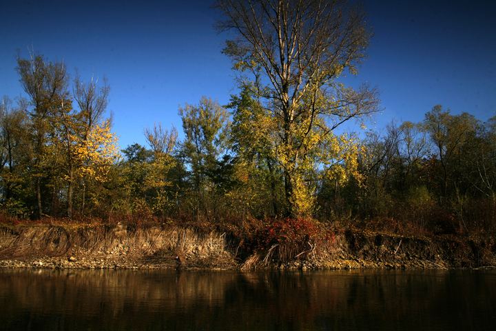 spis.php?category_id=343