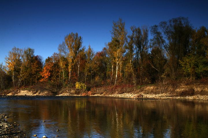 spis.php?category_id=343