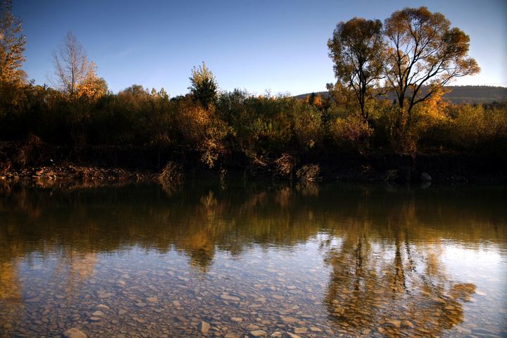 spis.php?category_id=343