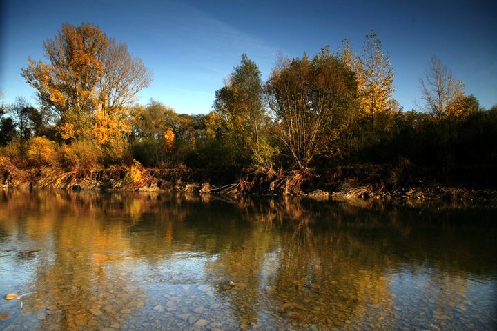 spis.php?category_id=343