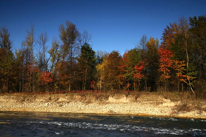 spis.php?category_id=343