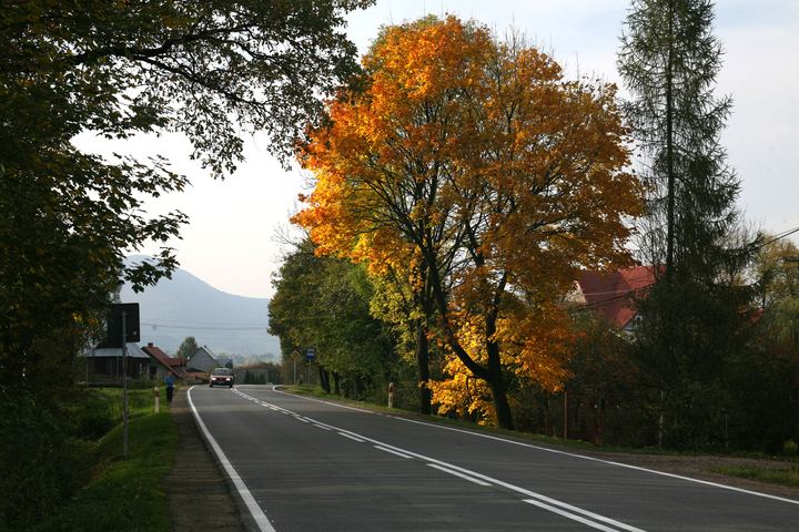 spis.php?category_id=343