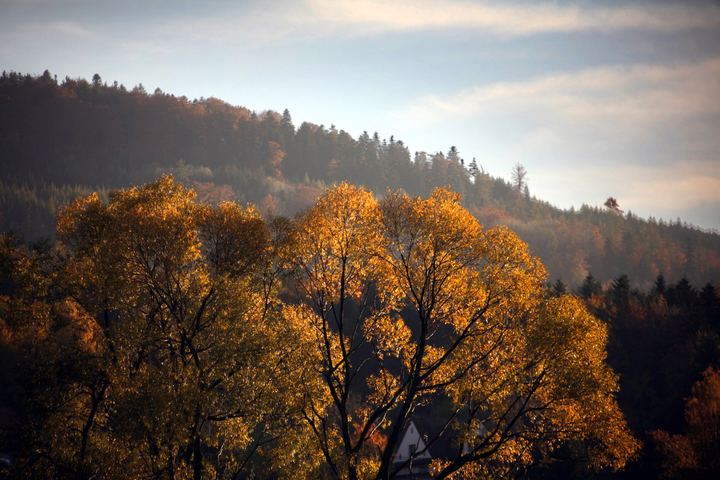 spis.php?category_id=343