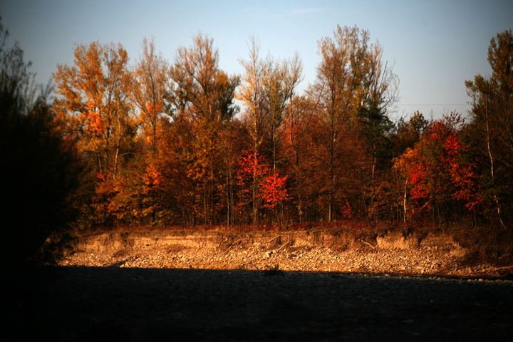 spis.php?category_id=343